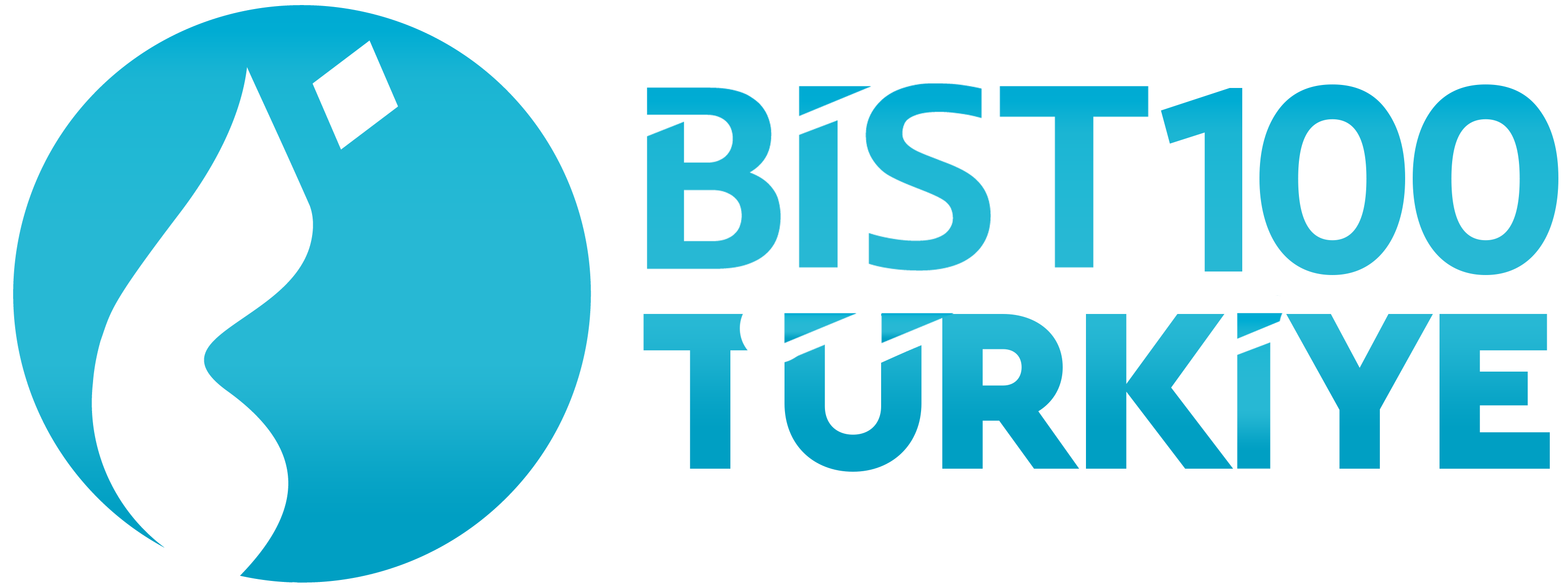 Bist100 Turkiye